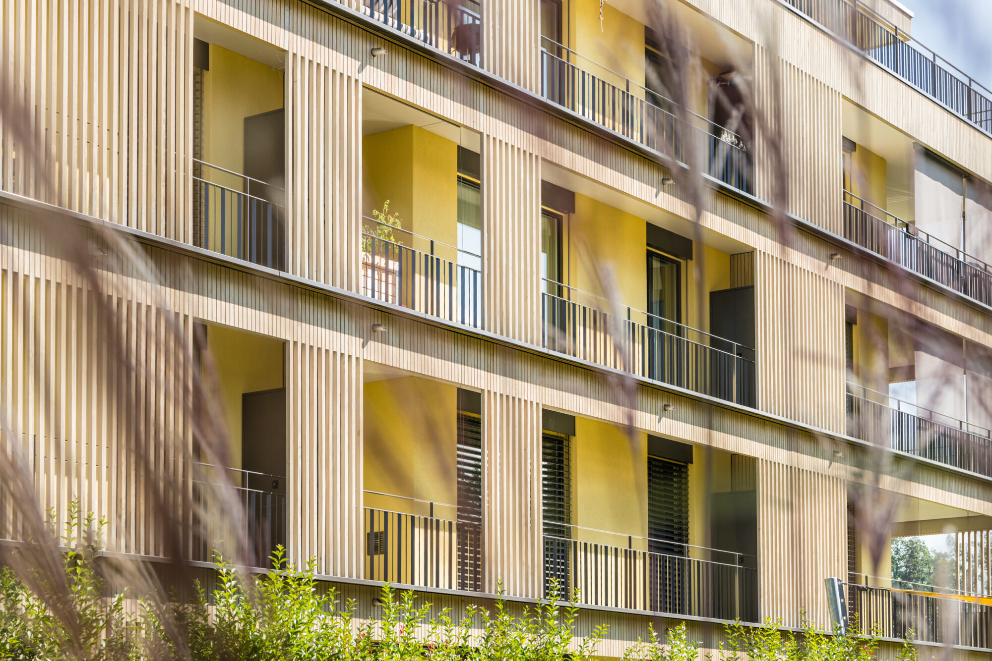 720 Grad Architekten - Maihalde